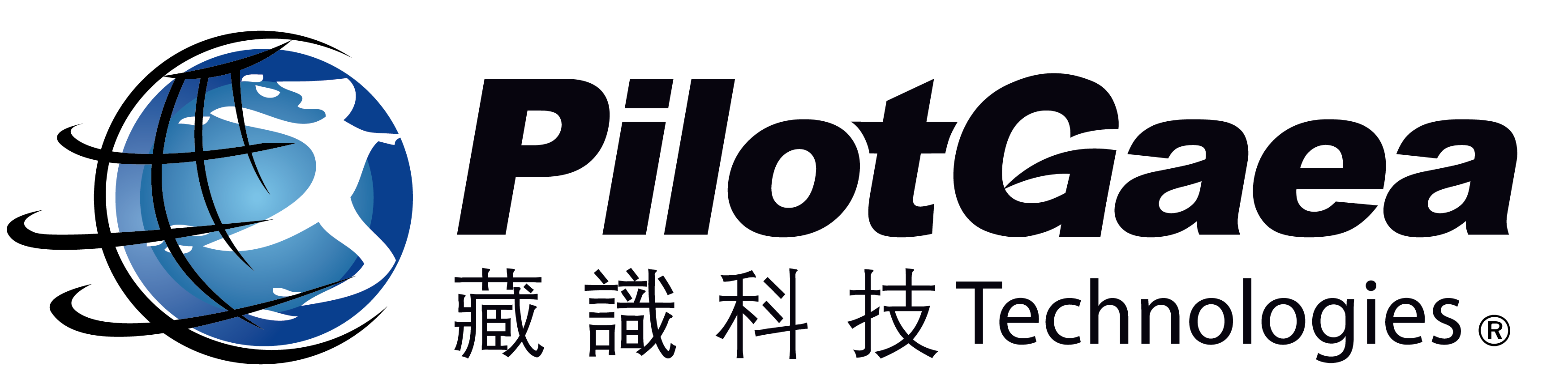 藏識科技 Logo